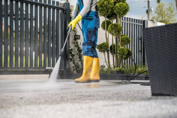 Best Patio and Deck Pressure Washing  in Woodsboro, MD